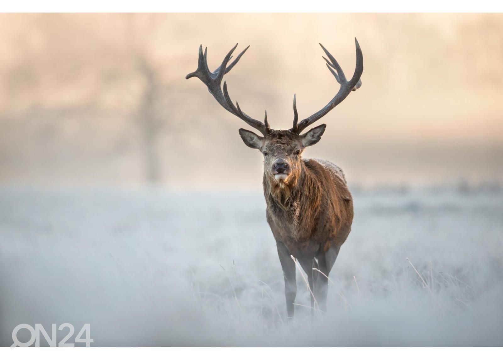 Fliis fototapeet Red Deer Stag suurendatud