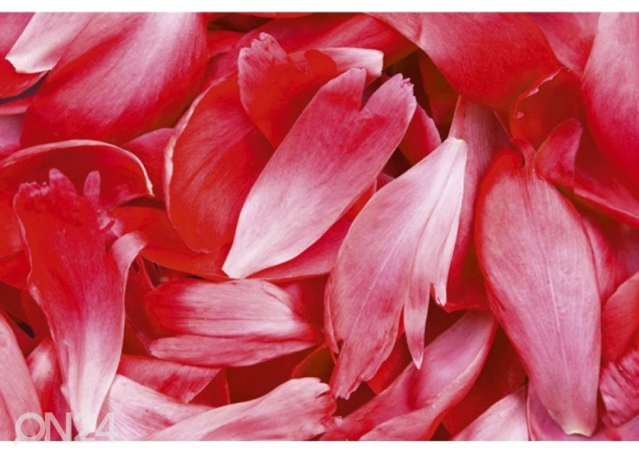 Fliis fototapeet Red petals 150x250 cm suurendatud