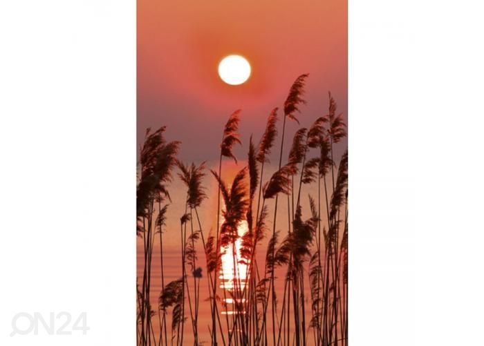 Fliis fototapeet Reed on lake 150x250 cm suurendatud