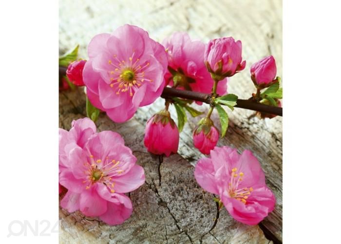 Fliis fototapeet Sakura 225x250 cm suurendatud