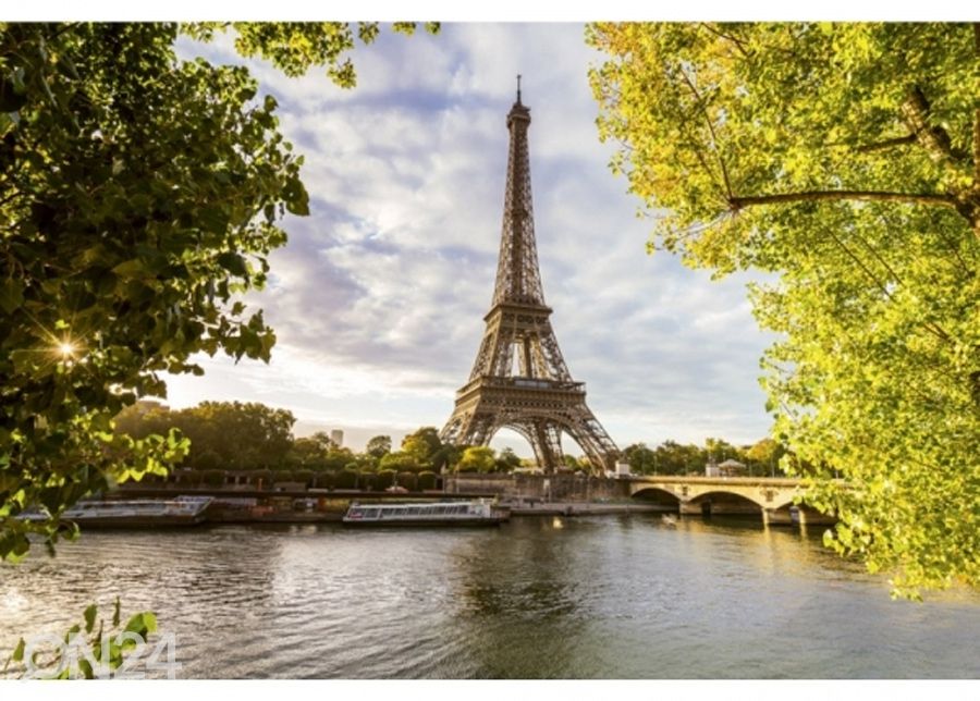 Fliis fototapeet Seine in paris 150x250 cm suurendatud