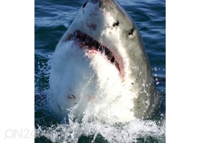 Fliis fototapeet Shark 225x250 cm suurendatud