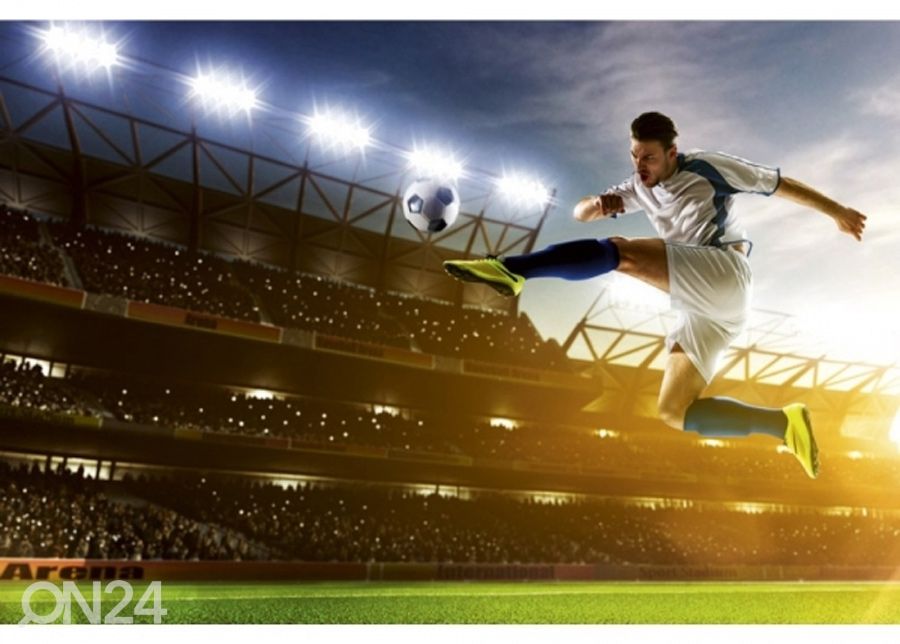 Fliis fototapeet Soccer player 150x250 cm suurendatud