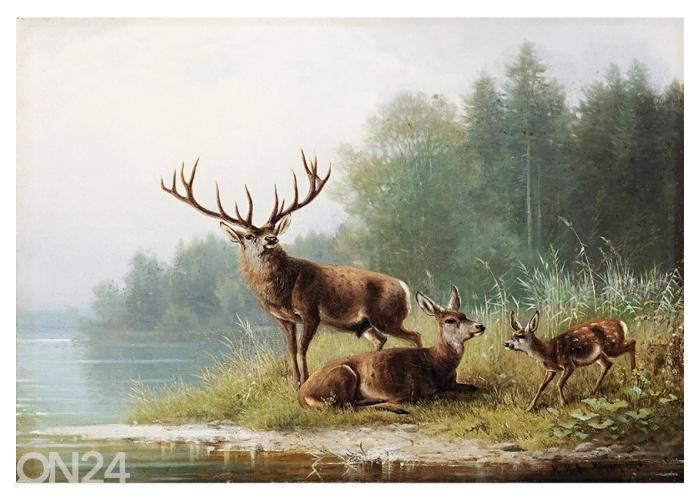 Fliis fototapeet Stag at a Lake by Moritz Müller 400x260 cm suurendatud