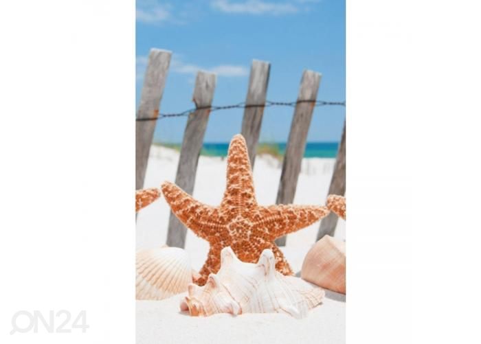 Fliis fototapeet Starfish 150x250 cm suurendatud