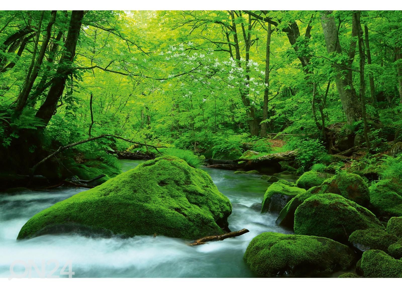Fliis fototapeet Stream In Japan suurendatud