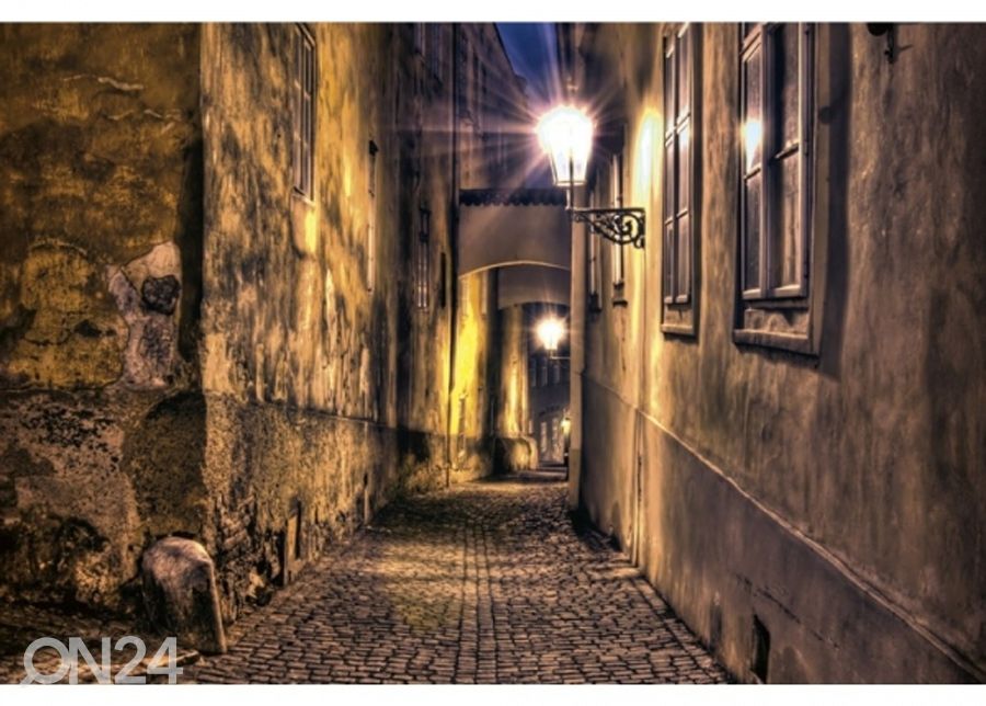 Fliis fototapeet Street 150x250 cm suurendatud