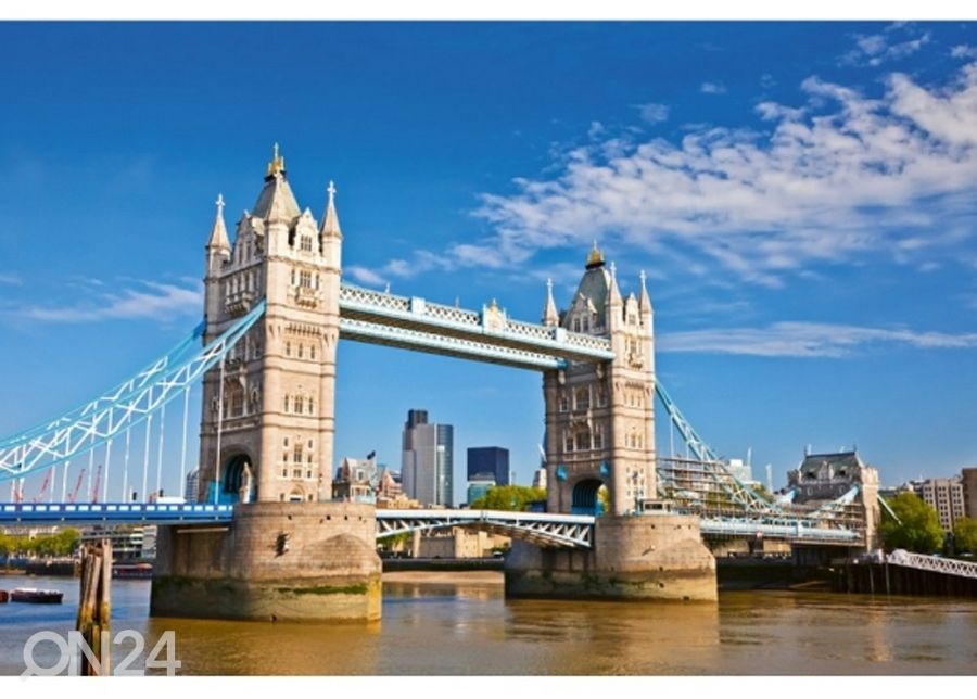 Fliis fototapeet Tower bridge 225x250 cm suurendatud
