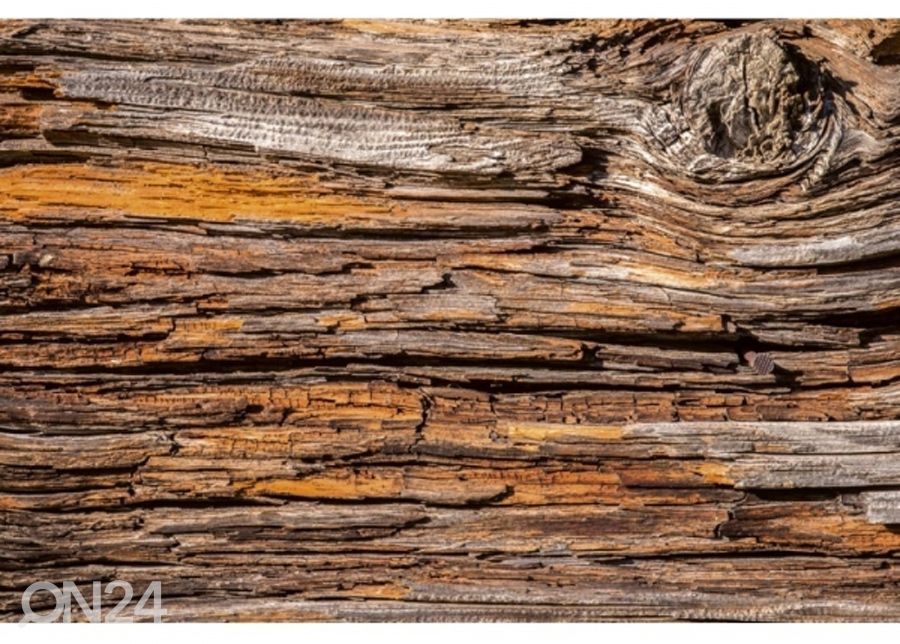 Fliis fototapeet Tree bark 150x250 cm suurendatud