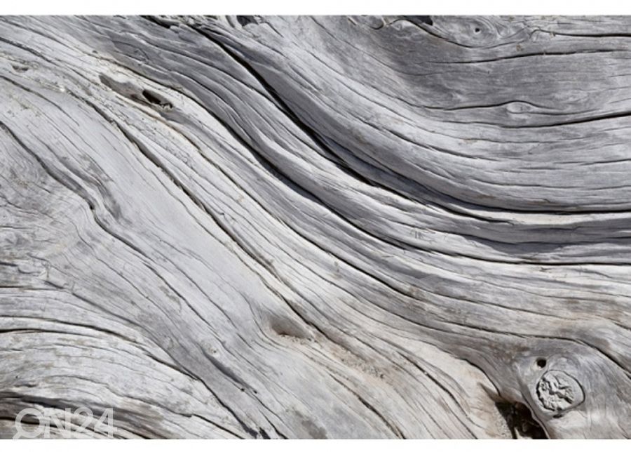 Fliis fototapeet Tree texture 150x250 cm suurendatud