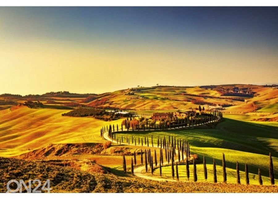 Fliis fototapeet Tuscany 150x250 cm suurendatud