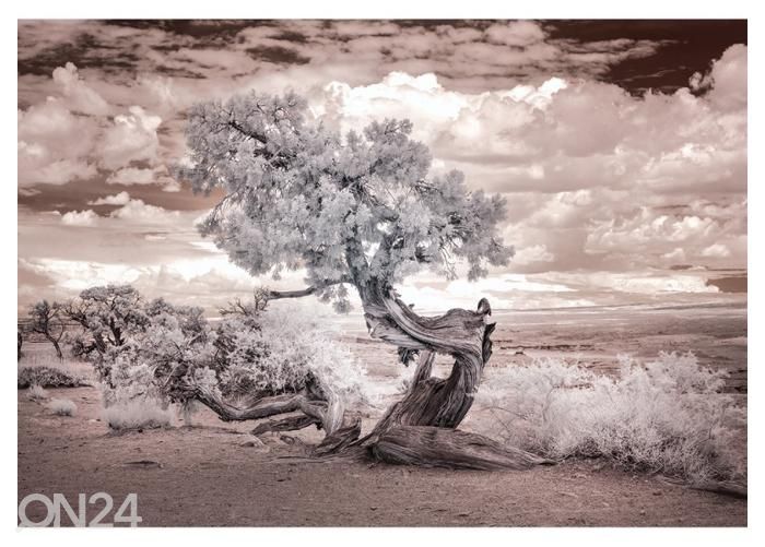 Fliis fototapeet Twisted Tree in the Desert 368x254 cm suurendatud