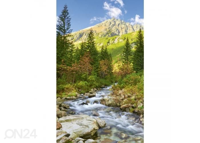 Fliis fototapeet Valley 150x250 cm suurendatud