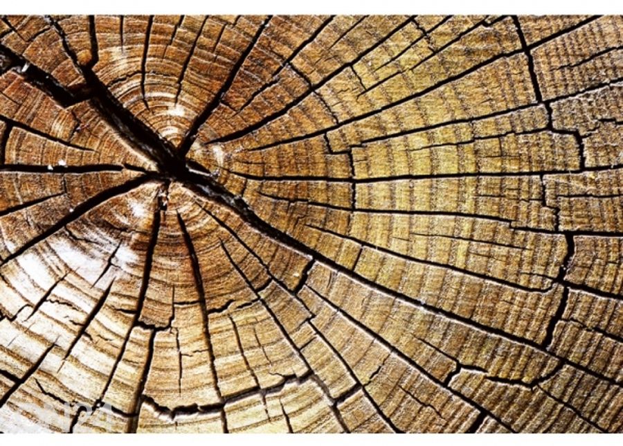 Fliis fototapeet Wood 150x250 cm suurendatud