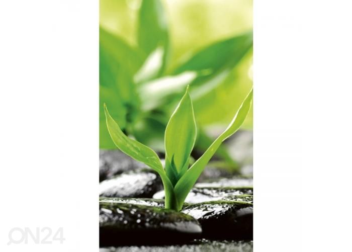Fliis fototapeet Zen stones 150x250 cm suurendatud