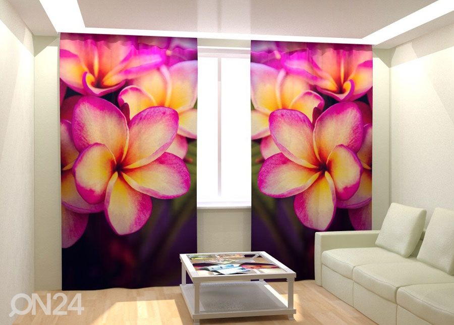 Fotokardinad Plumeria in the night 300x260 cm suurendatud