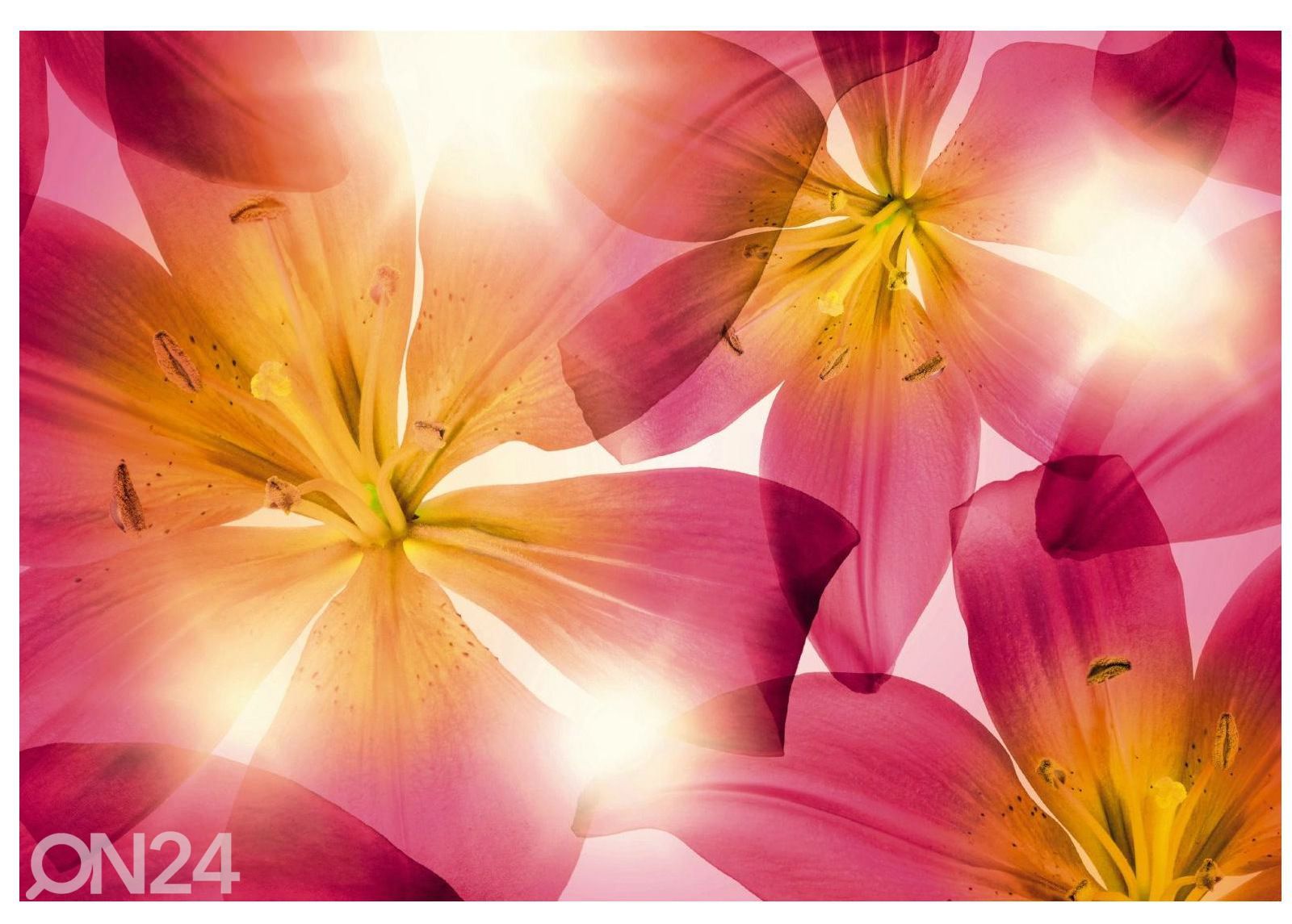 Fototapeet 368x254 cm suurendatud