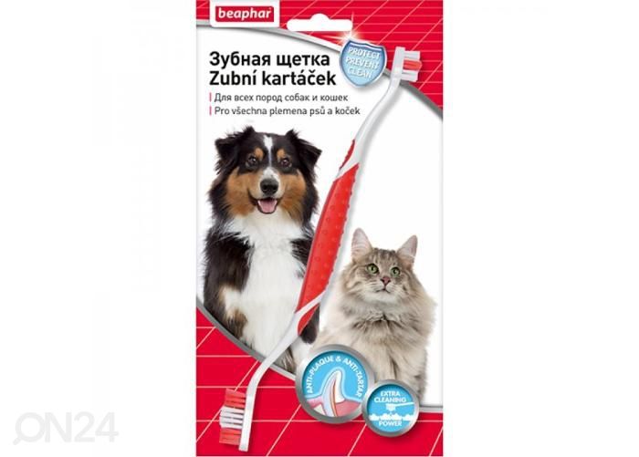 Hambahari Beaphar Toothbrush On Blister (kahepoolne) suurendatud