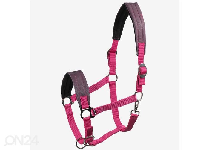 Hobuse päitsed nevada cob fuksia suurendatud