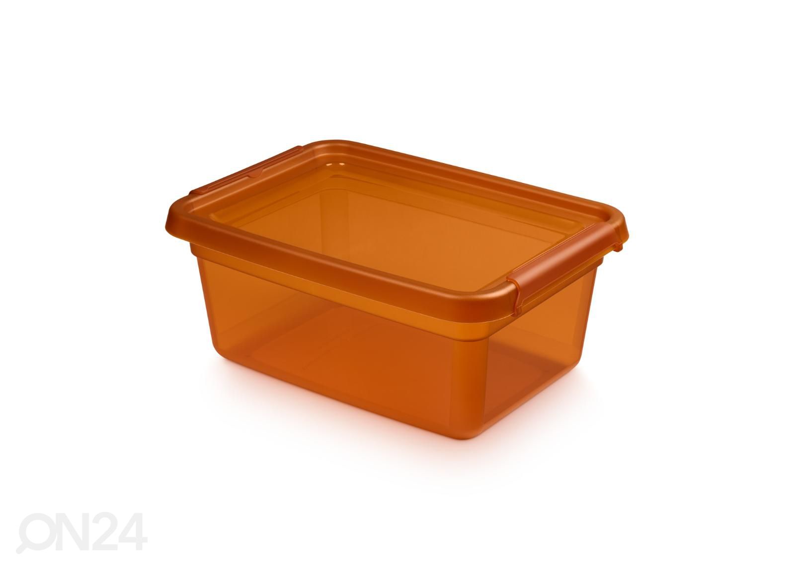 Hoiukast BaseStore 12,5 L, 28x38xh16 cm oranž suurendatud