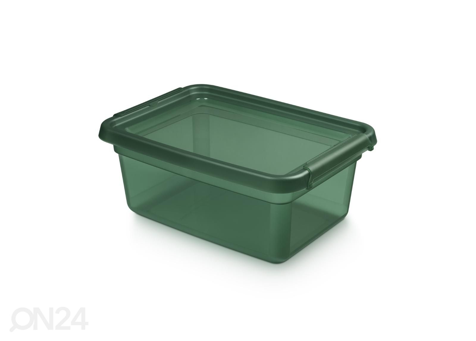 Hoiukast BaseStore 12,5 L, 28x38xh16 cm roheline suurendatud