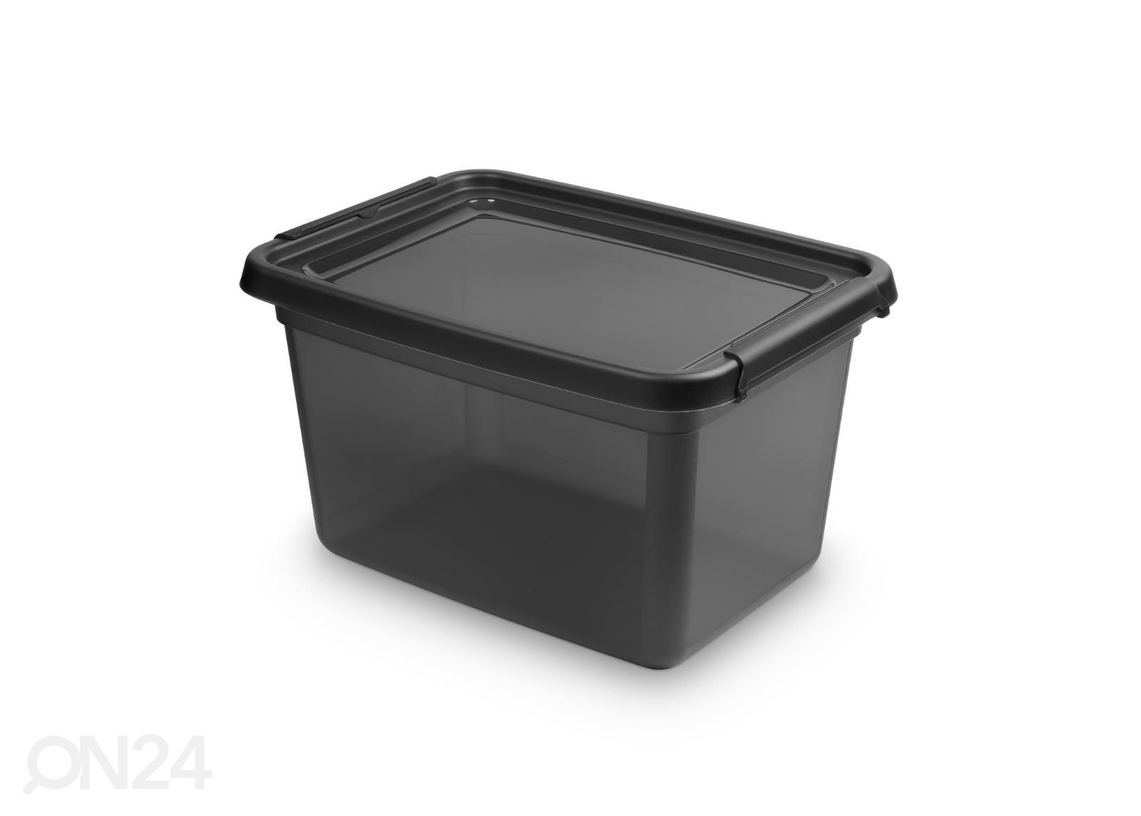 Hoiukast BaseStore 15 L, 28x38xh22,5 cm hall suurendatud
