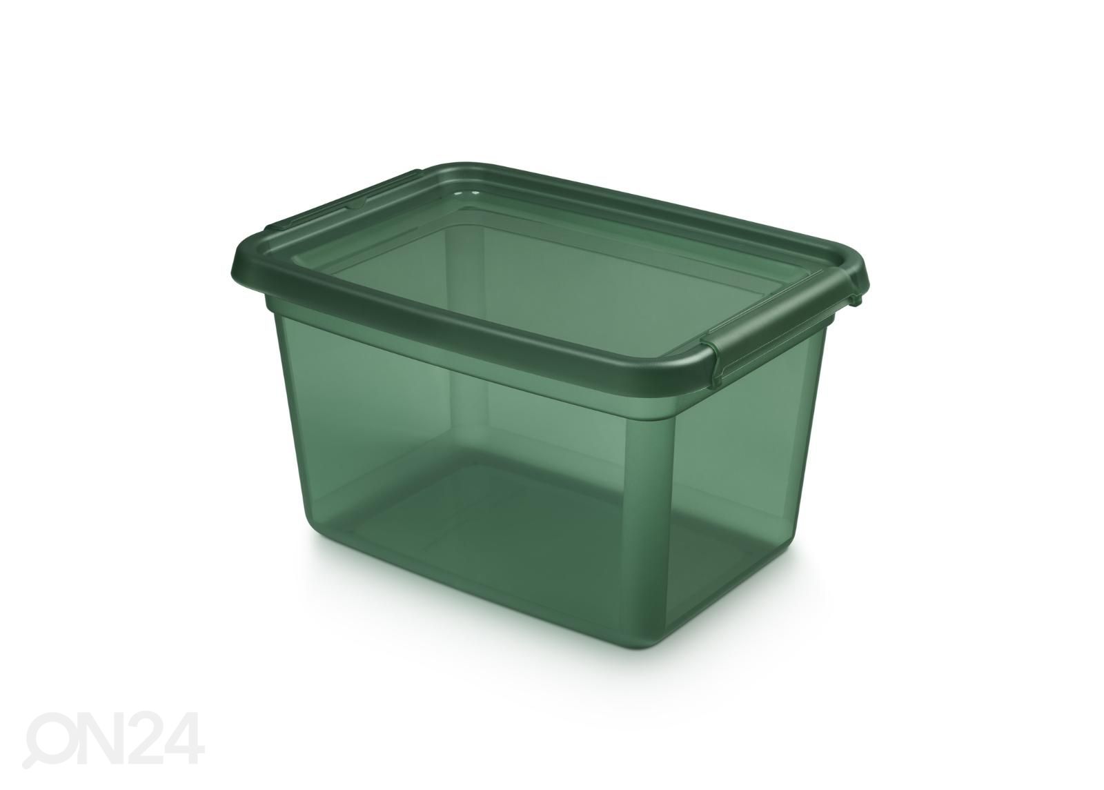 Hoiukast BaseStore 15 L, 28x38xh22,5 cm roheline suurendatud