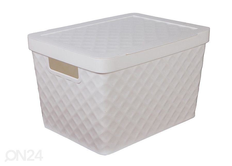 Hoiukast kaanega Diamond 17,5 L suurendatud