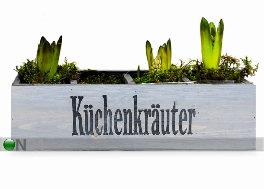 Istutuskast suurendatud