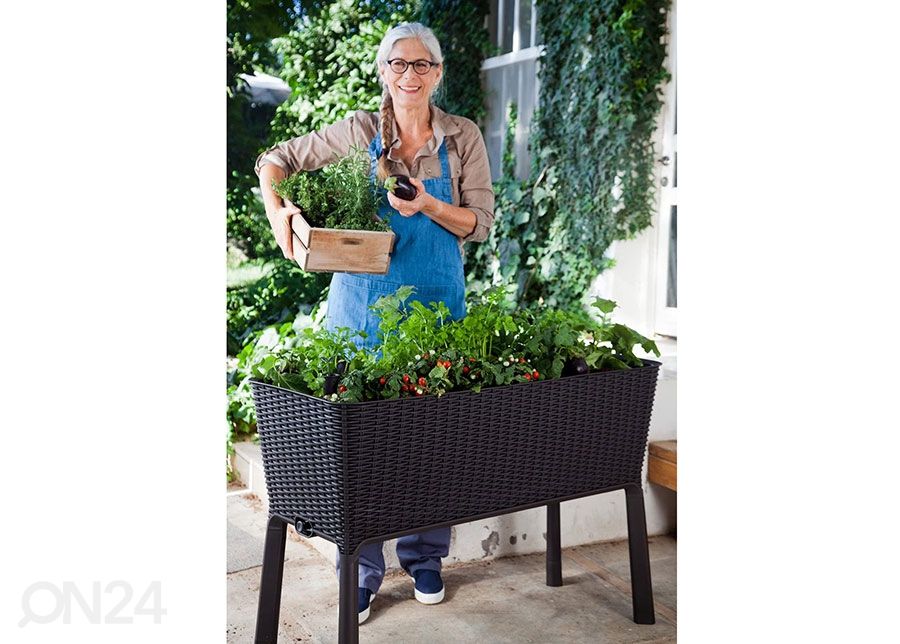Istutuskast Keter Easy Grow 114x49x76 cm, antratsiit suurendatud