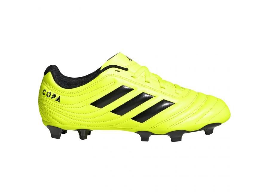 Jalgpallijalatsid lastele muru adidas Copa 19.4 FG JR F35461 suurendatud