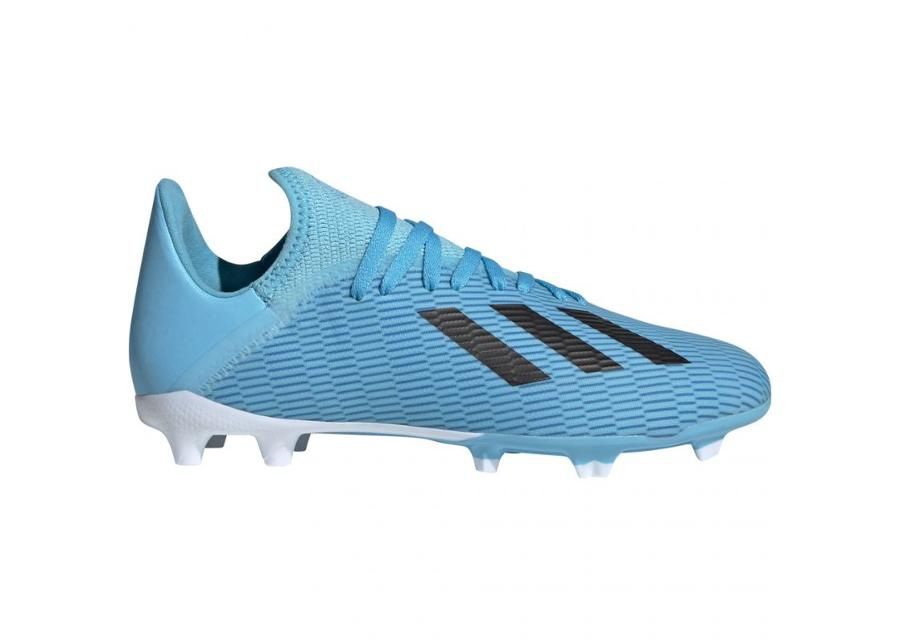 Jalgpallijalatsid lastele muru adidas X 19.3 FG Jr F35366 suurendatud