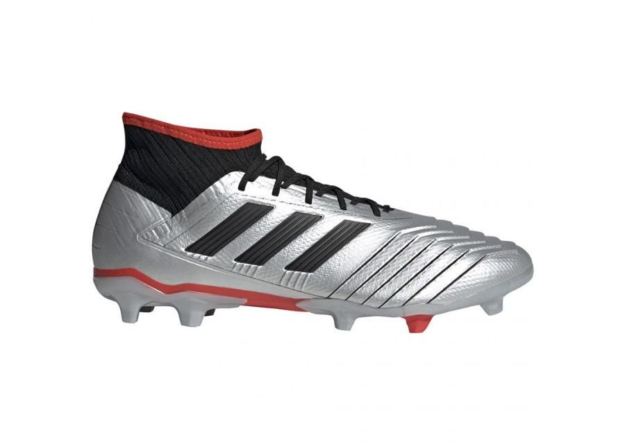 Jalgpallijalatsid meestele muru adidas Predator 19.2 FG M F35601 suurendatud