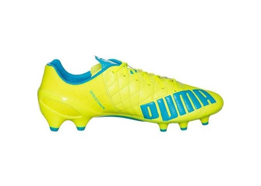 Jalgpallijalatsid meestele muru Puma Evo Speed 1.4 LTH FG M 103615 03 suurendatud