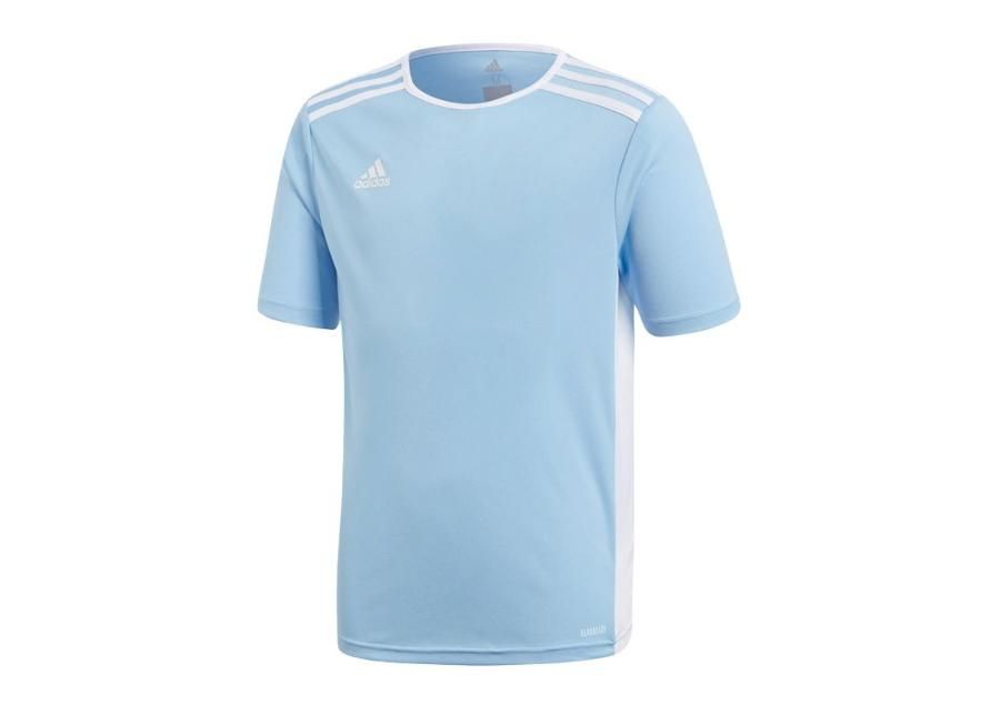 Jalgpallisärk lastele adidas Entrada 18 Jr CF1045 suurendatud