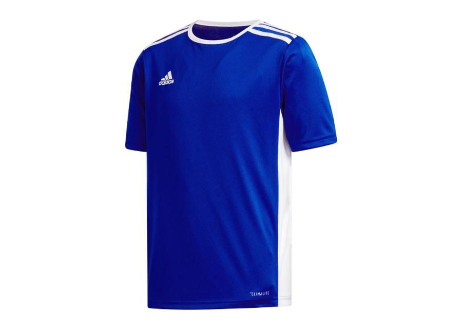 Jalgpallisärk lastele adidas Entrada 18 Jr CF1049 suurendatud