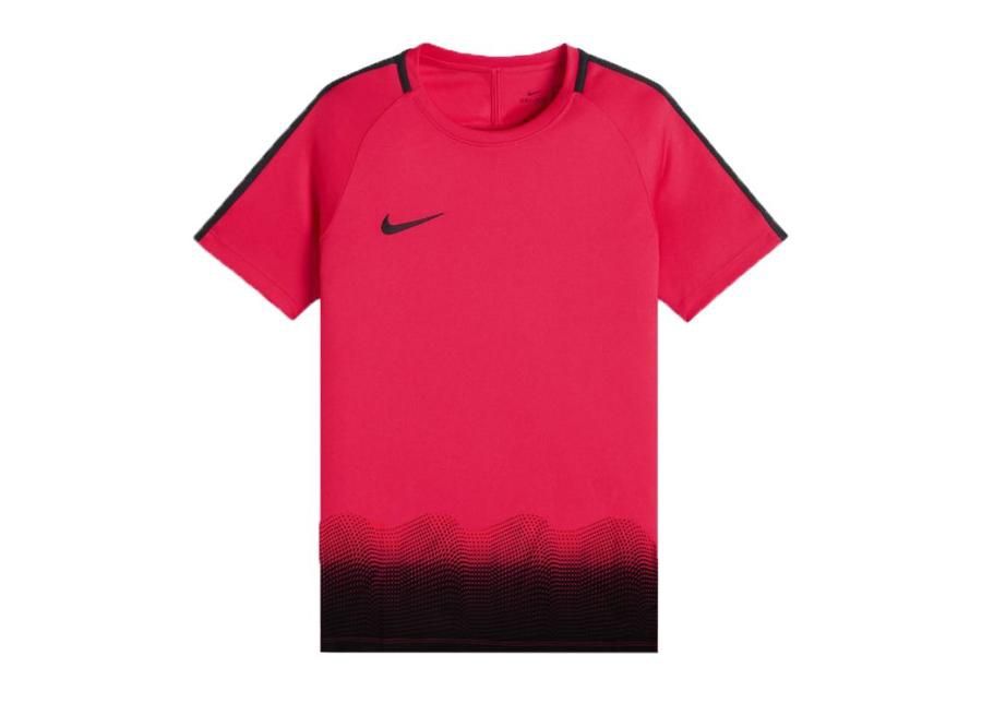 Jalgpallisärk lastele Nike Dry Academy Top GX Jr AJ4225-653 suurendatud