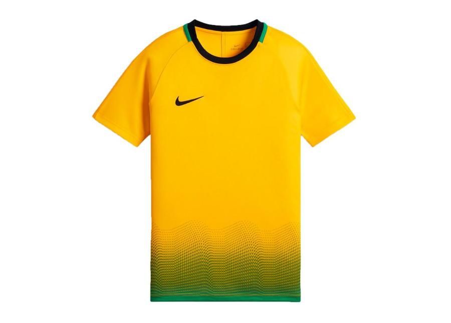 Jalgpallisärk lastele Nike Dry Academy Top GX Jr AJ4225-728 suurendatud