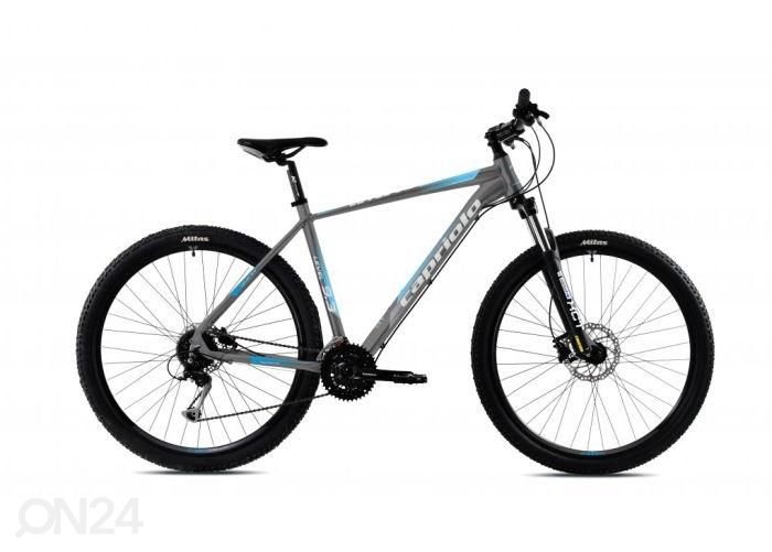 Jalgratas MTB 9.3 29"/24AL hall/sinine, 21" suurendatud