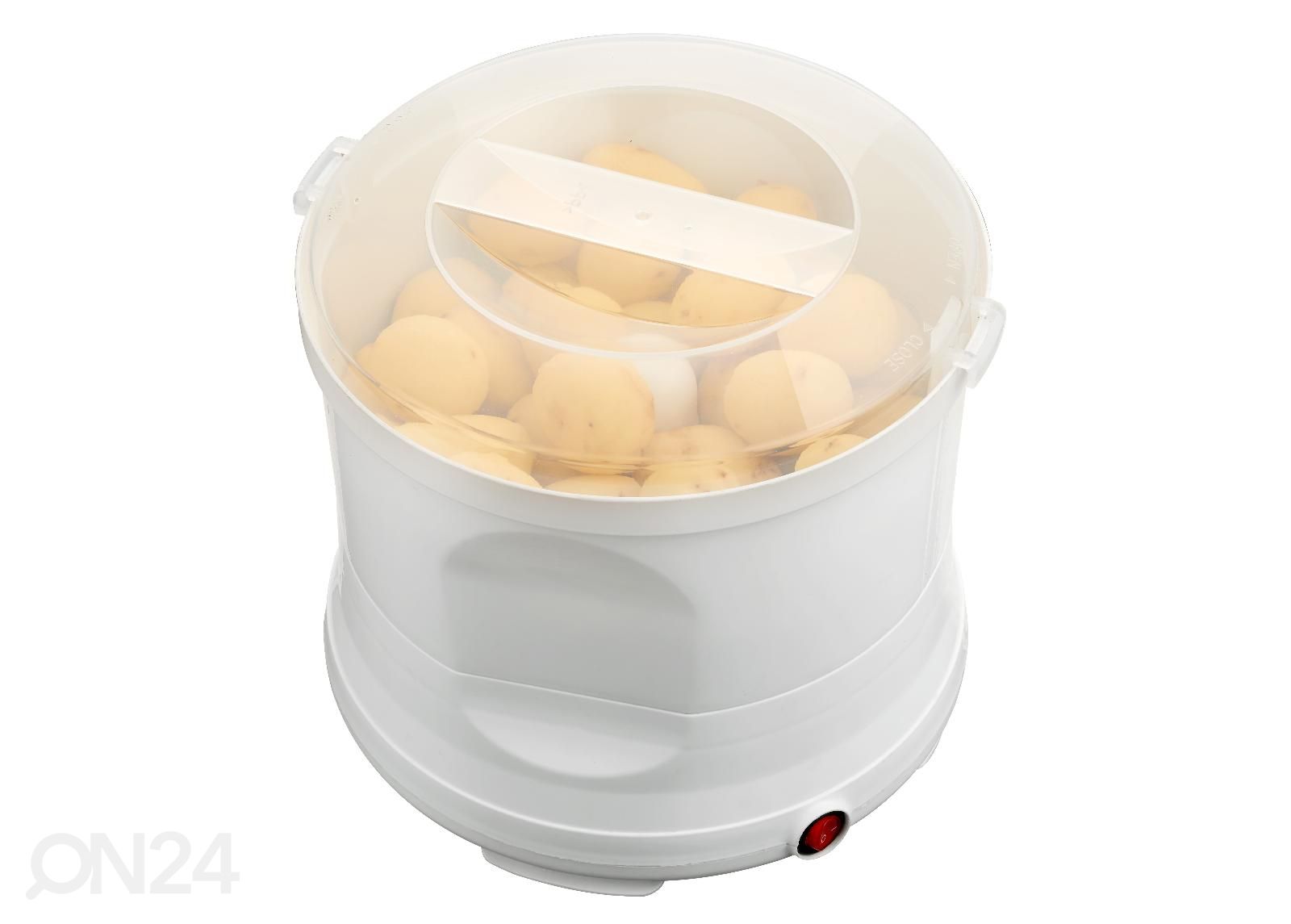 Kartulikoorija Melissa 16220007 suurendatud