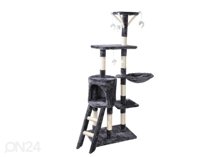 Kassi suur ronimispuu h138 cm suurendatud