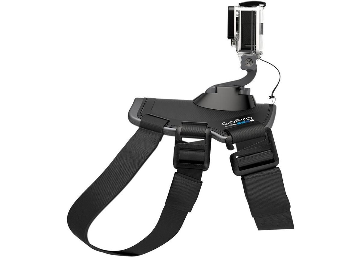 Kinnitus lemmikloomale GoPro FETCH koduloomakinnitus suurendatud