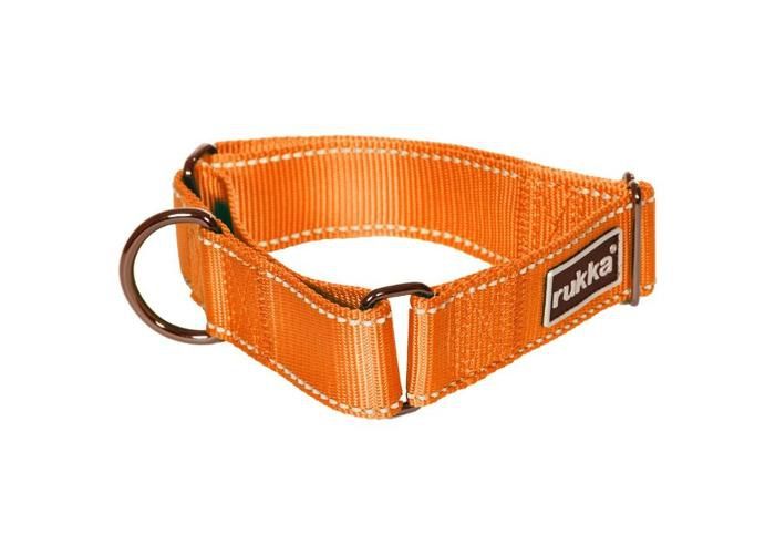Koera kaelarihm form web M 40 mm/40-55 cm oranž suurendatud