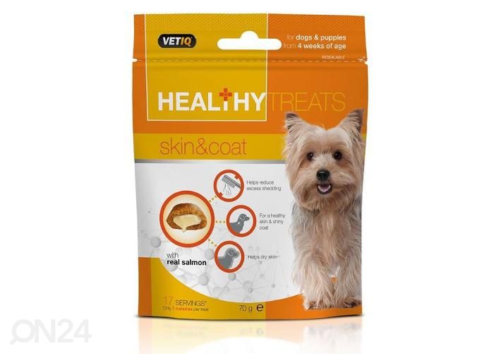 Koera/kutsika maius healthy treats skin&coat 70 g suurendatud