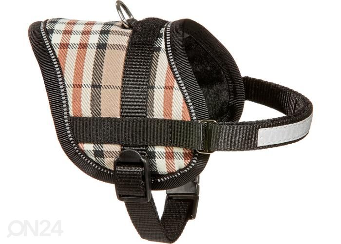 Koera traksid 31-40 cm x 15 mm M beež suurendatud