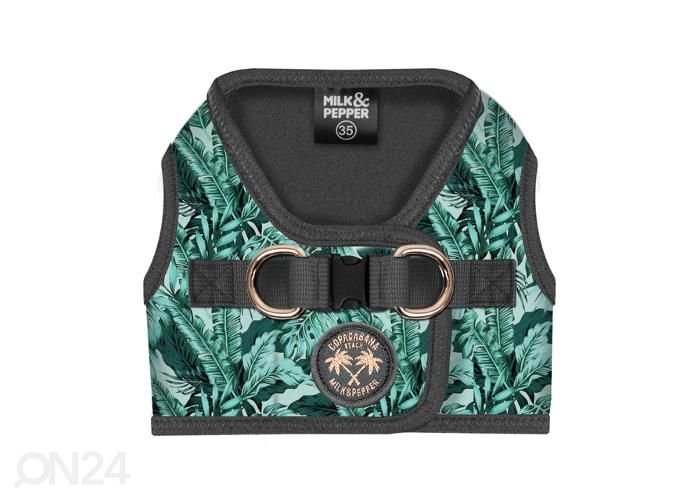 Koera traksid amazonia s44 suurendatud
