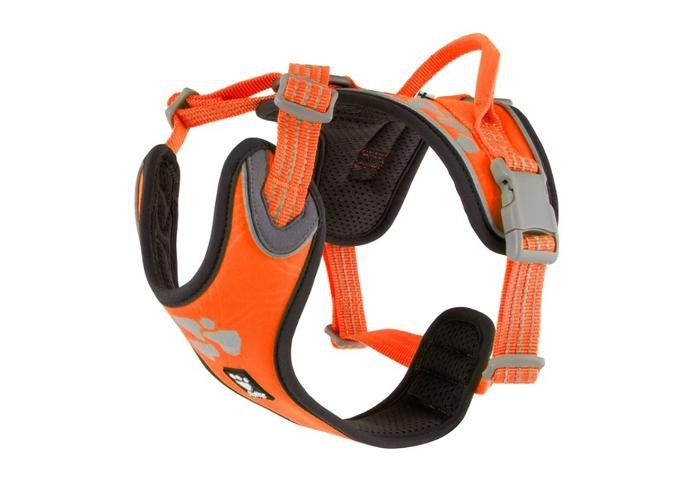 Koera traksid weekend warrior 45-60 cm neoon oranž suurendatud