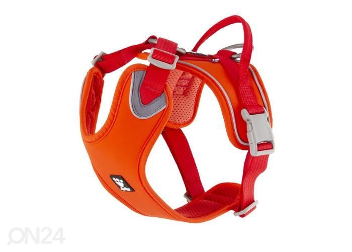 Koera traksid weekend warrior eco 40-45 cm oranž suurendatud