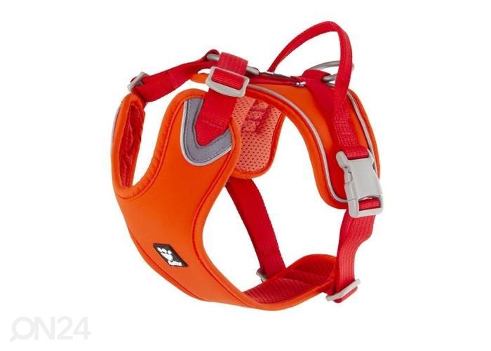 Koera traksid weekend warrior eco 60-80 cm oranž suurendatud