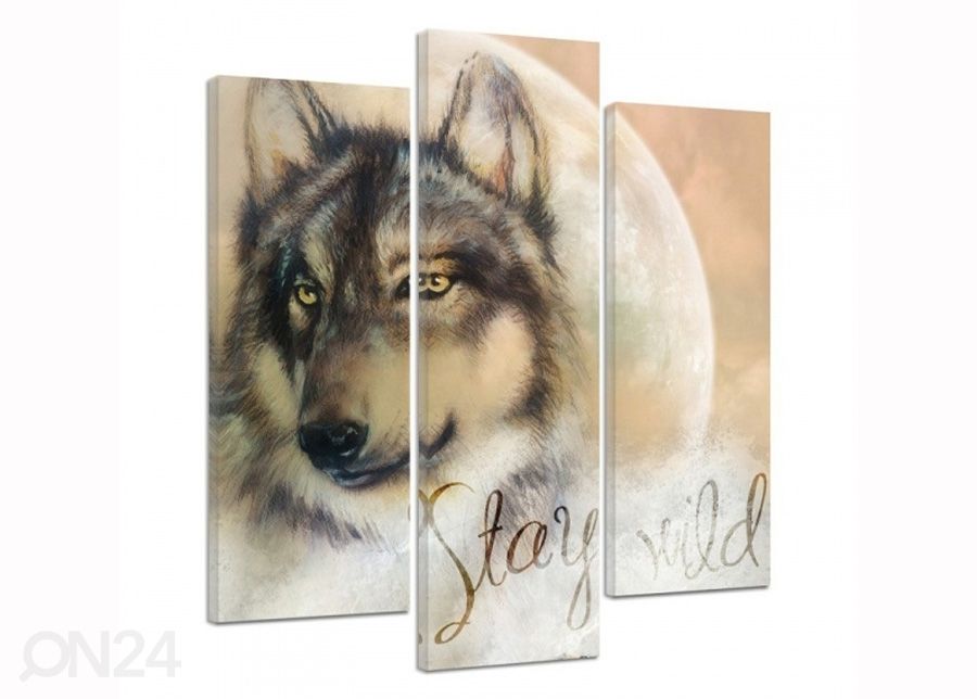 Kolmeosaline seinapilt Stay wild 3D 90x80 cm suurendatud